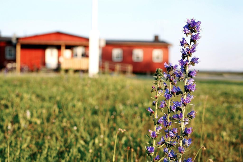 Stf Bunge Hostel Faroesund Exterior foto